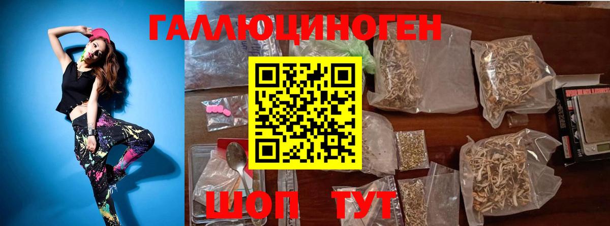 Кировск  Псилоцибиновые грибы прущие грибы  Псилоцибиновые грибы GOLDEN TEACHER  Вход с VPN 